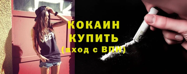 стаф Аркадак
