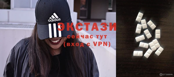 стаф Аркадак