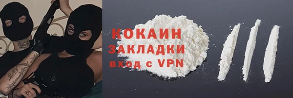 стаф Аркадак