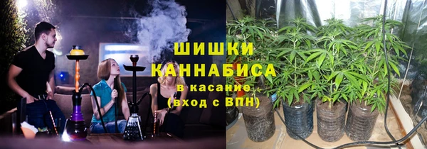 стаф Аркадак