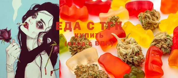 стаф Аркадак