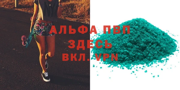 стаф Аркадак