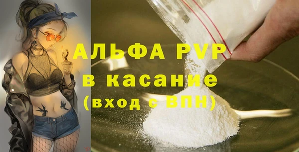 стаф Аркадак